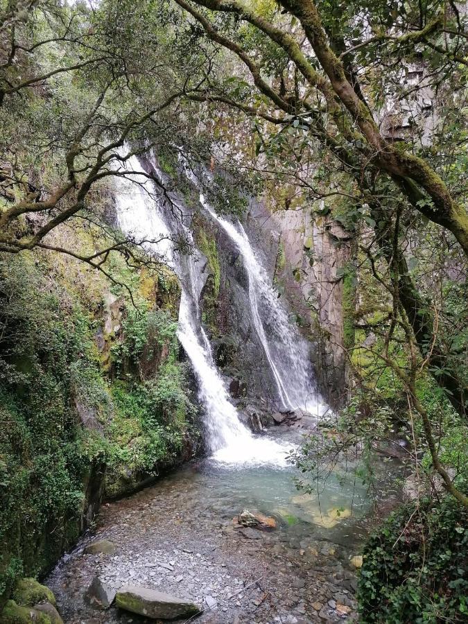 Vila Vivenda A Nossa Coroa Coja Exteriér fotografie