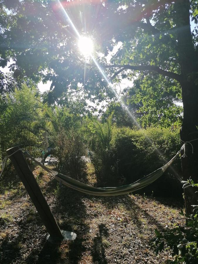 Vila Vivenda A Nossa Coroa Coja Exteriér fotografie